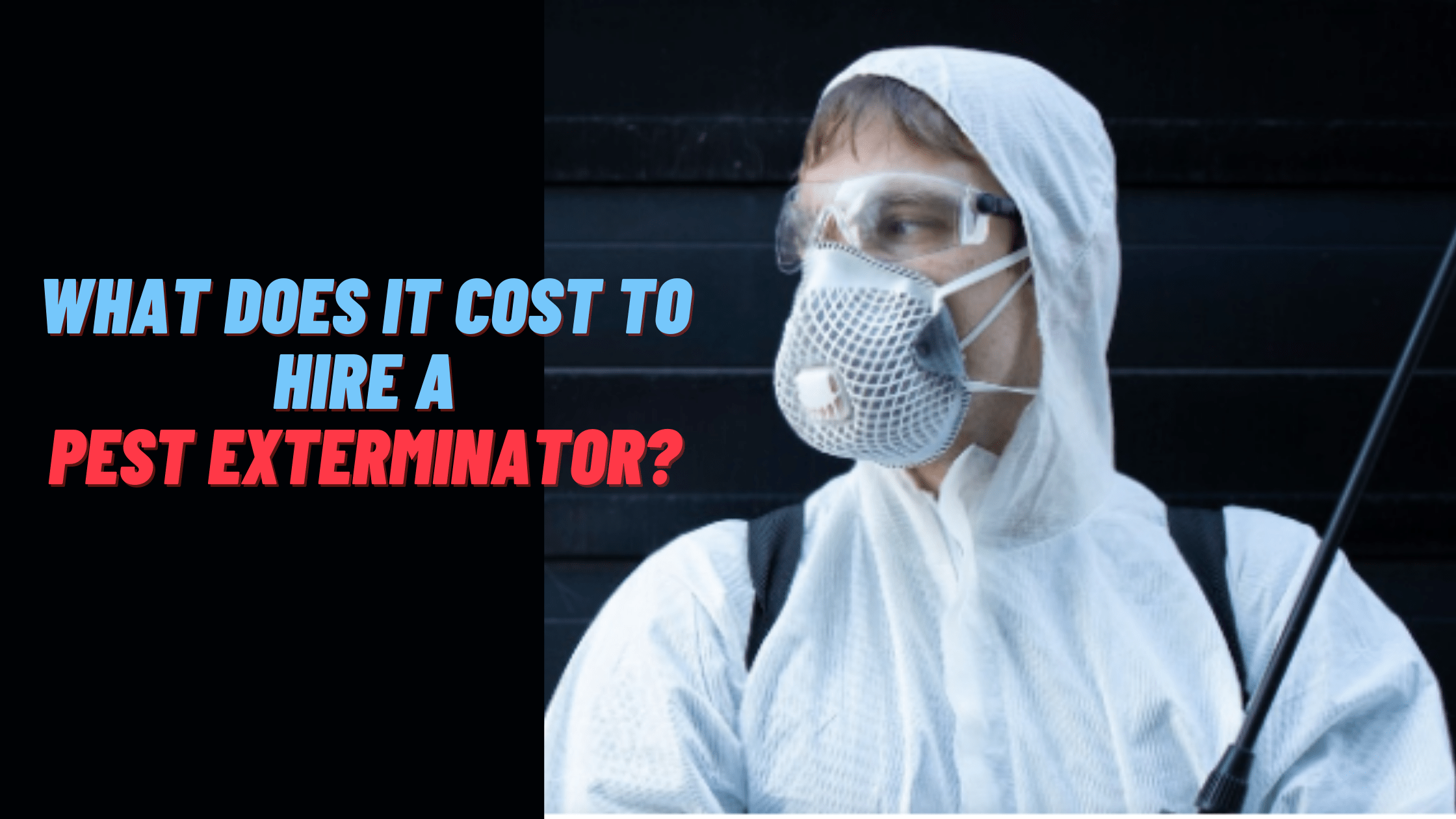 What Does It Cost To Hire A Pest Exterminator?