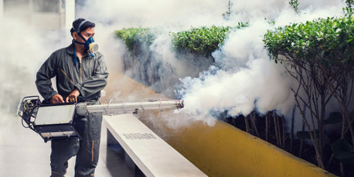 Fumigation is usually the last resort if all methods are used and the mice are still around.